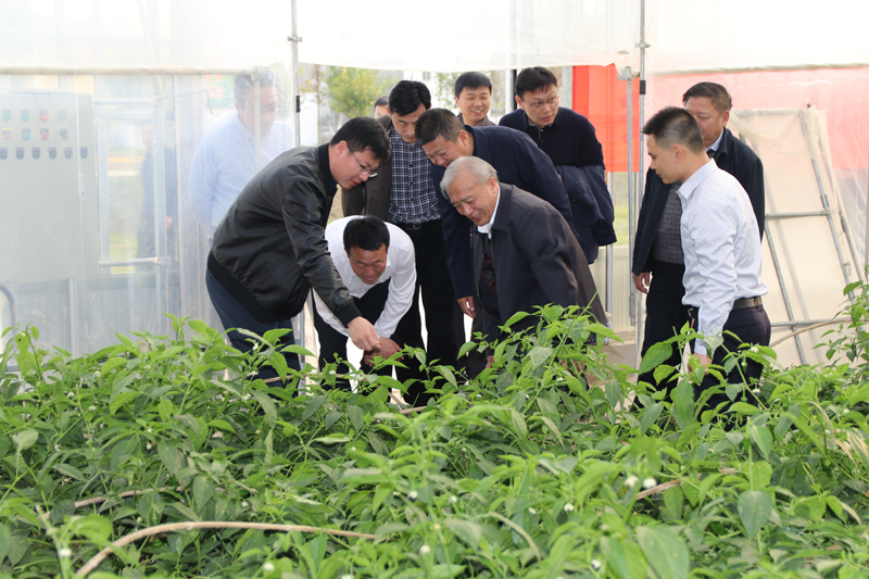 胥爱贵在灌南县考察我校挂钩帮扶工作