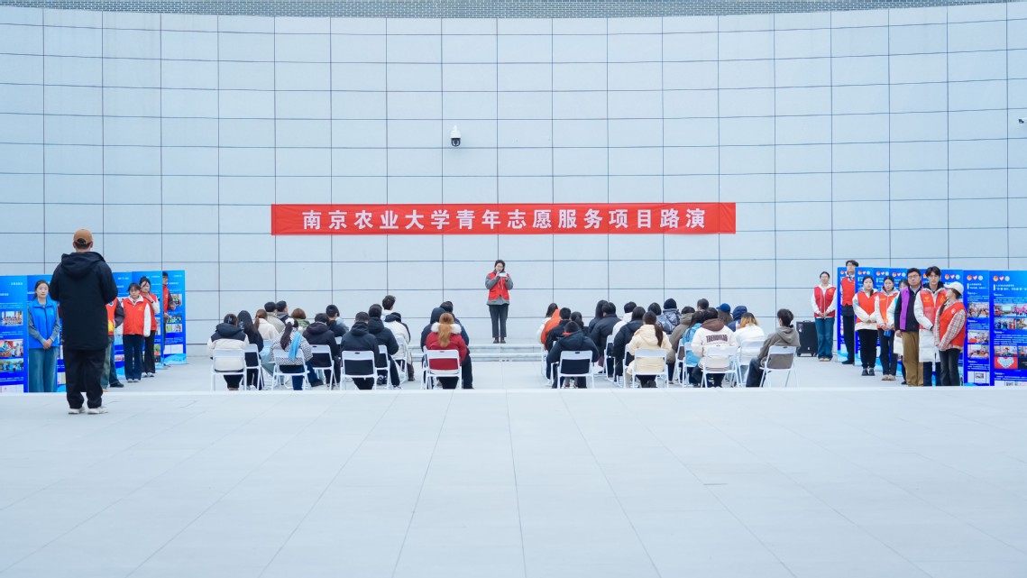 项目路演区