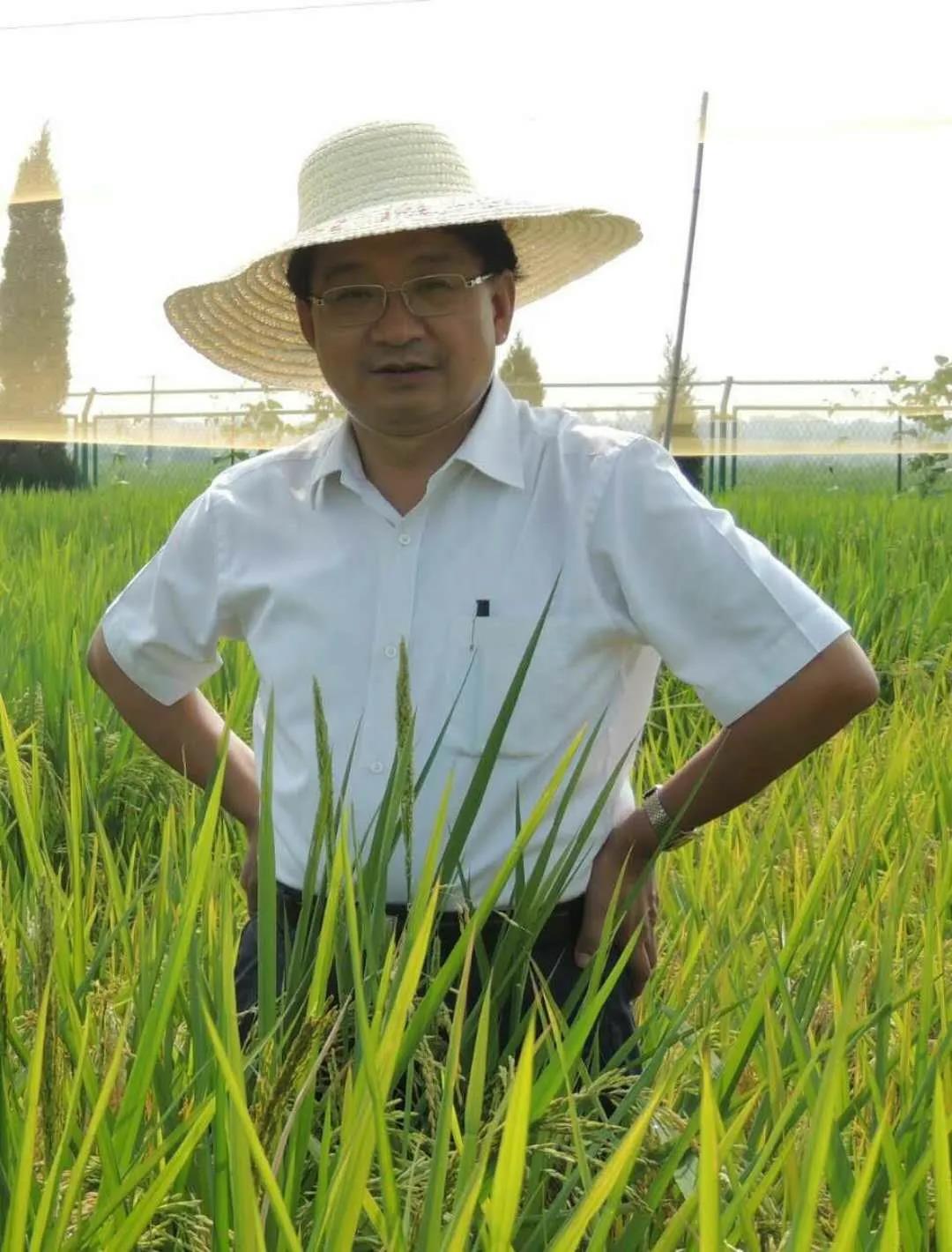 【央视开讲啦】水稻分子遗传与育种专家万建民:什么样的大米才是优质