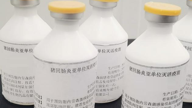 猪回肠炎新型亚单位灭活疫苗