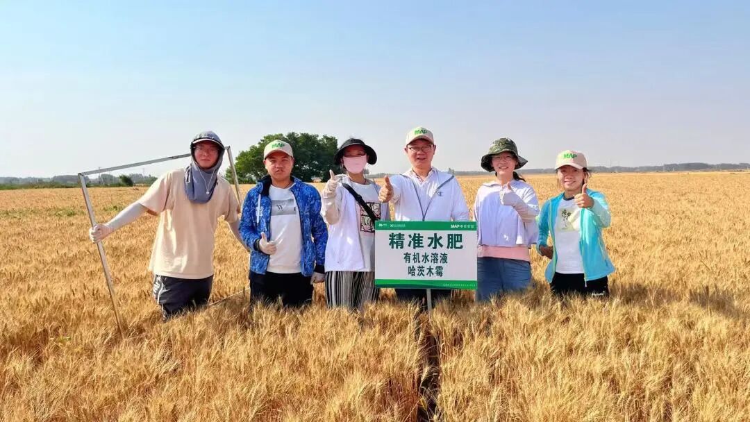 十余年追问“促根”机理，他们解开木霉与植物的共生密码